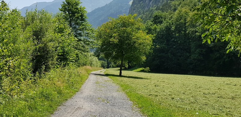 Hochweg bei der Reuss Attinghausen